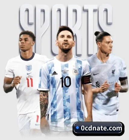五大服务分区,信息按项目分类(LEDONG.COM)