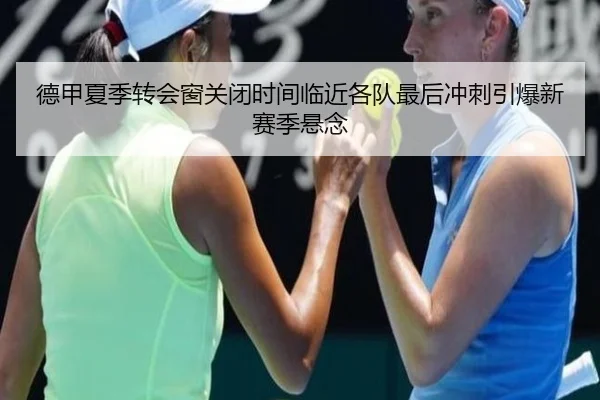 德甲夏季转会窗关闭时间临近各队最后冲刺引爆新赛季悬念（LEDONG.COM）