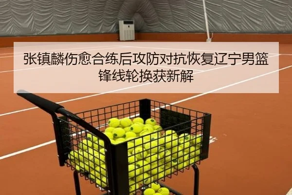 张镇麟伤愈合练后攻防对抗恢复辽宁男篮锋线轮换获新解 | LEDONG.COM